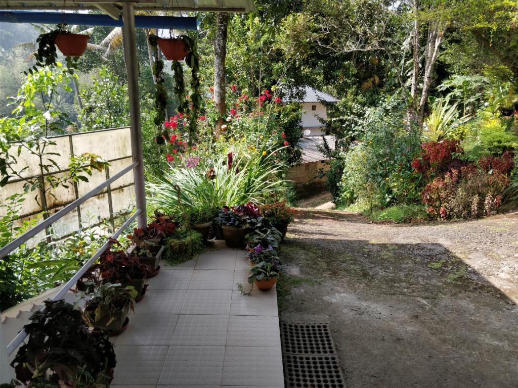 River View Inn Munnar Eksteriør bilde